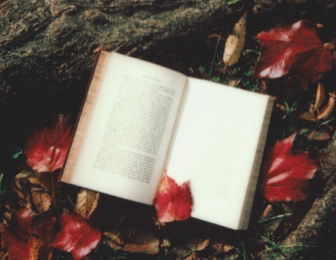 书读 | 初读东野圭吾《白夜行》