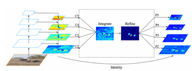 增强 FPN 结构输出的特征图